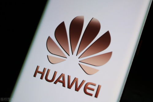 跨境電商快訊 數(shù)字文化創(chuàng)意內容驅動內容應用服務升級