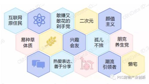 優(yōu)寵智能2021 數(shù)字文化創(chuàng)意內容如何引爆寵物產(chǎn)品與服務